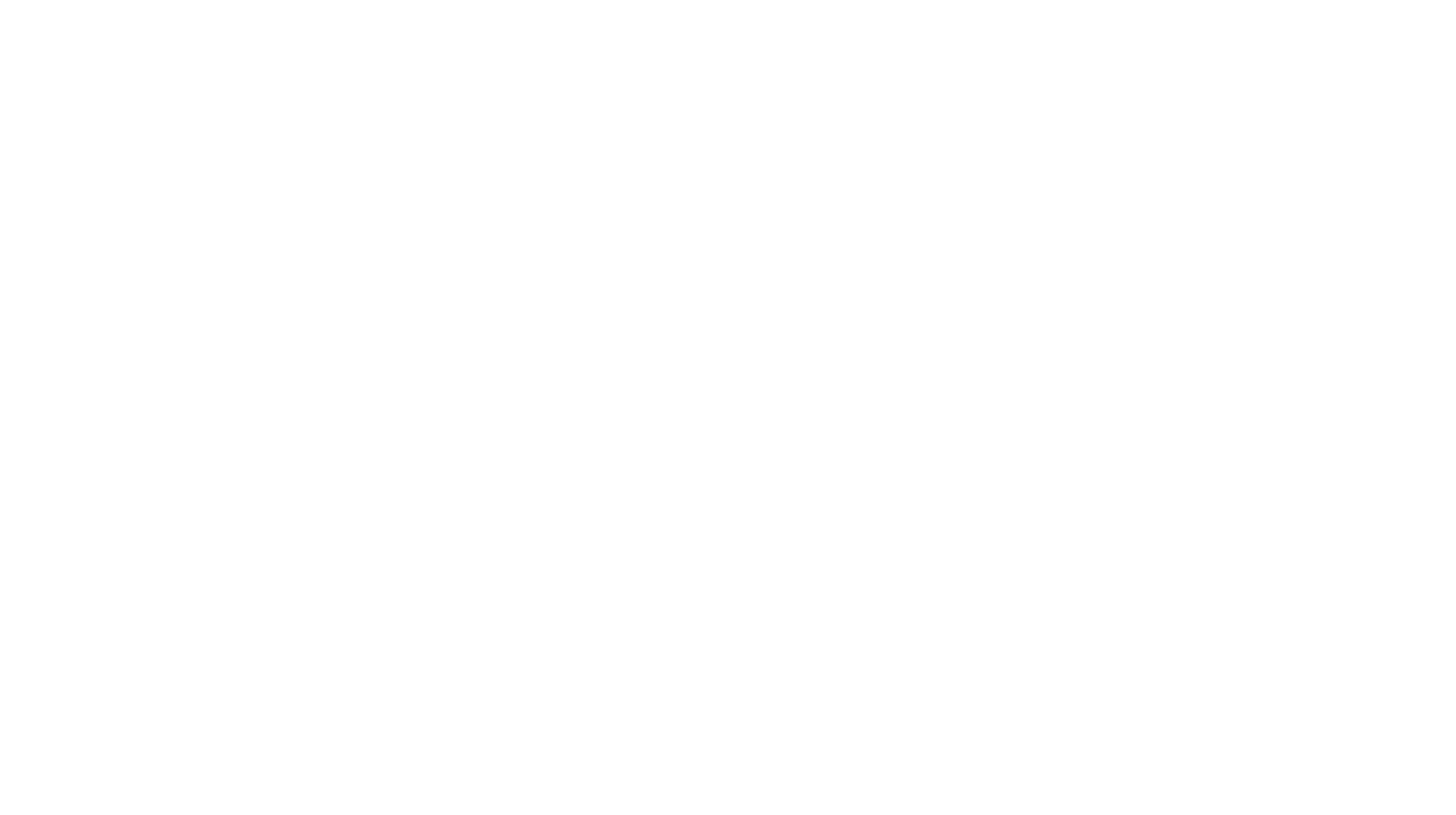 LEXAR